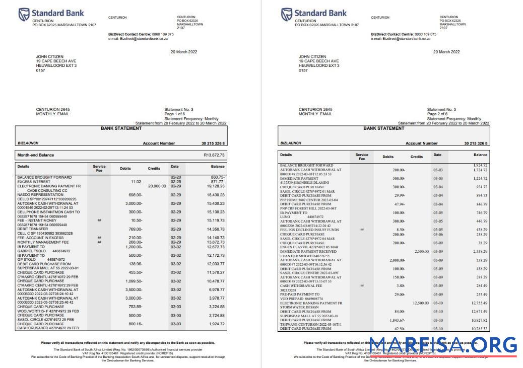 Blank South Africa Standard bank statement word 6 pages sample